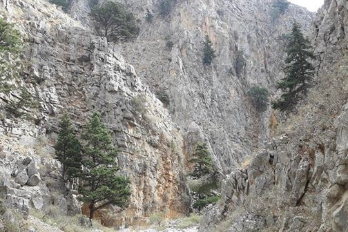 Imbros Gorge without Escort Full Day Tour