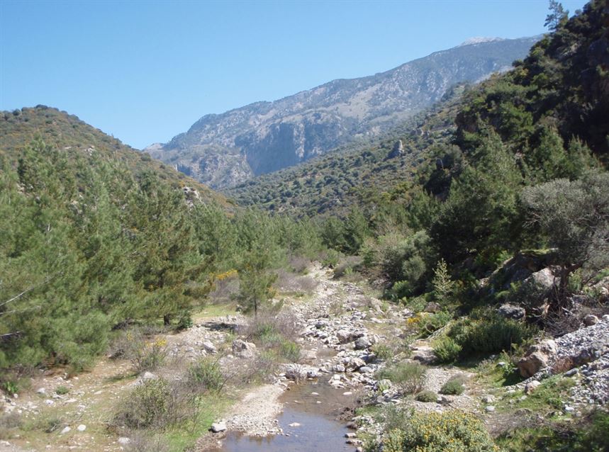 Agia Irini Gorge with Escort Half Day Tour