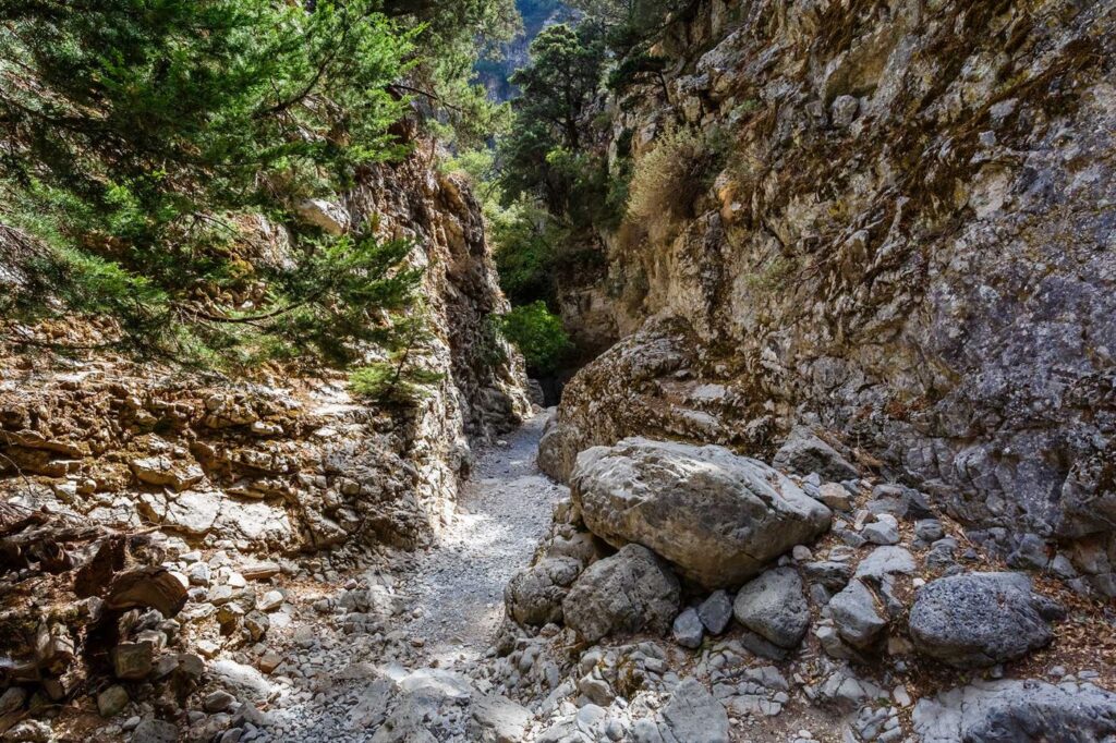 Imbros Gorge without Escort Full Day Tour