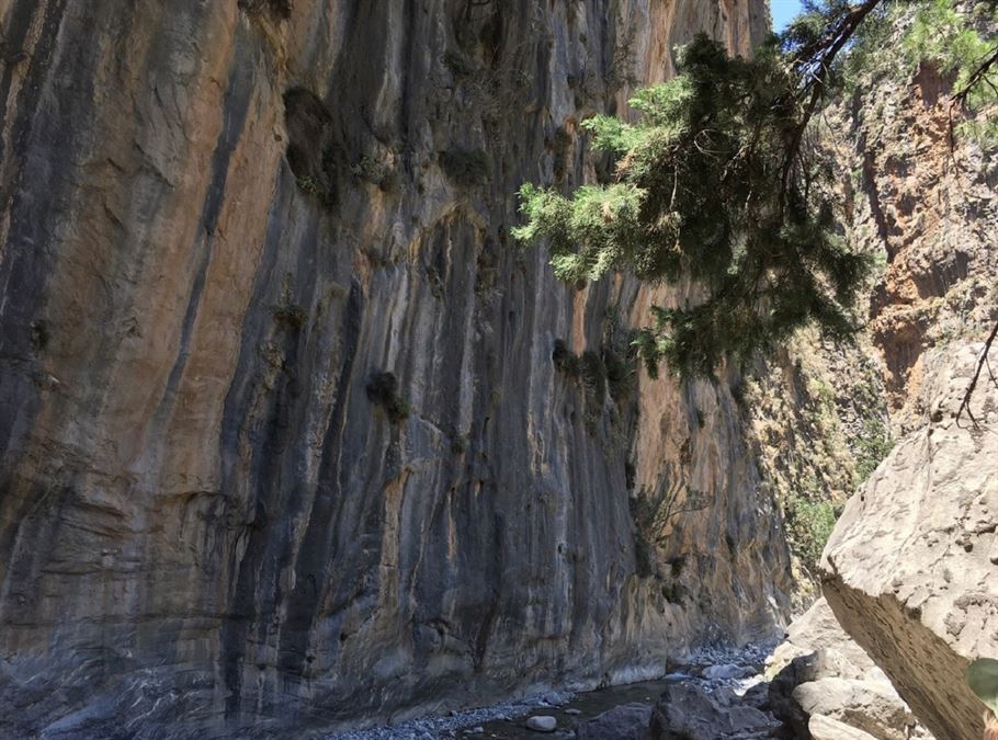 Samaria Gorge without Escort Full Day Tour