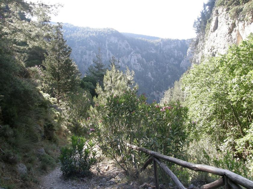 Agia Irini Gorge with Escort Half Day Tour