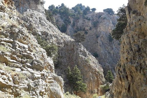 Imbros Gorge without Escort Full Day Tour