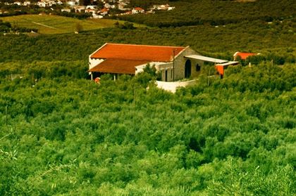 Wine, Beer and Olive Oil Tasting