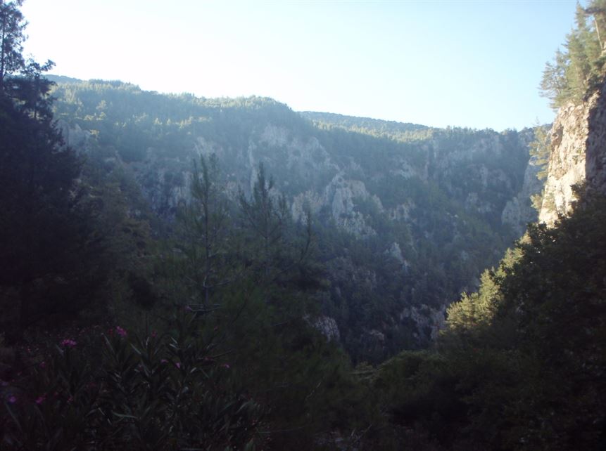 Agia Irini Gorge with Escort Half Day Tour