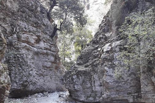 Imbros Gorge without Escort Full Day Tour