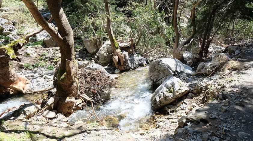 Agia Irini Gorge with Escort Half Day Tour