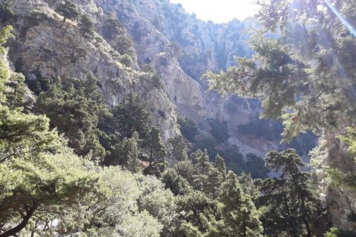 Imbros Gorge without Escort Full Day Tour