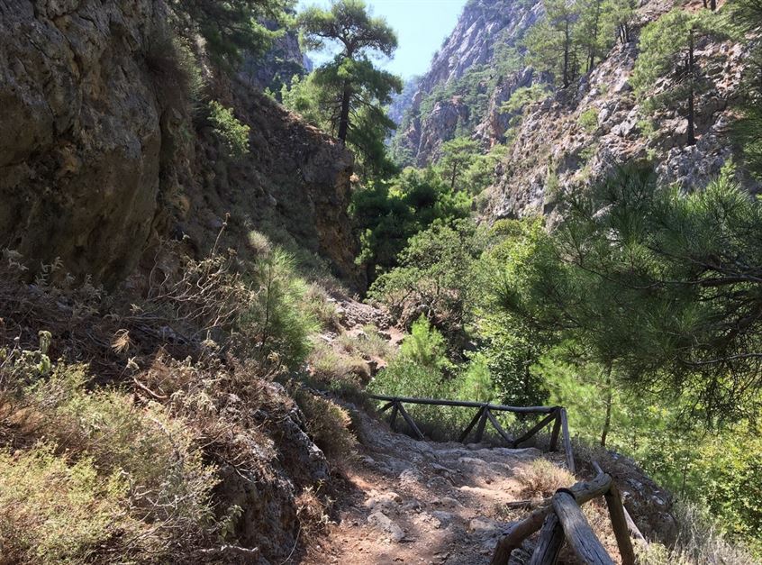 Agia Irini Gorge with Escort Half Day Tour