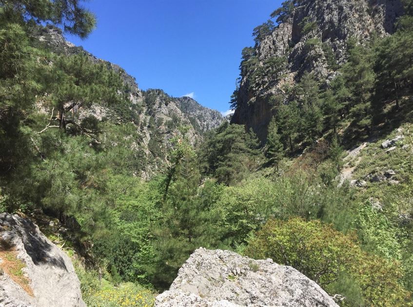 Agia Irini Gorge with Escort Half Day Tour